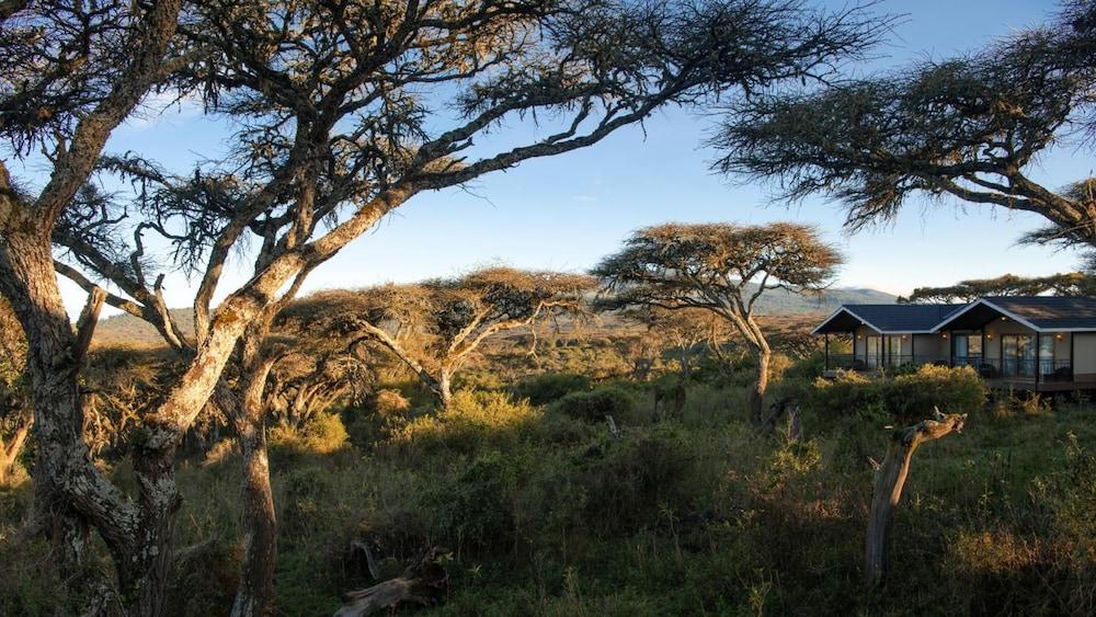 Karibu Camps And Lodges Lions Paw Ngorongoro Karatu Exteriör bild